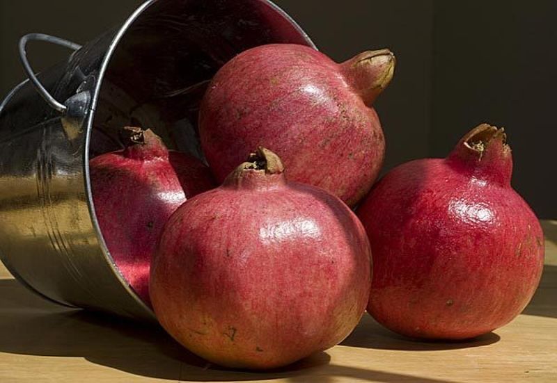 The Thick Skin Helps Protect The Seeds During Long Storage
