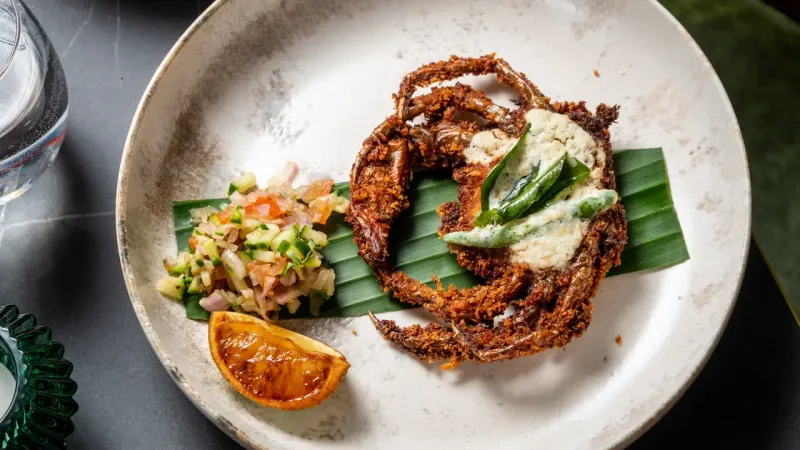 Cilantro, Putney, London