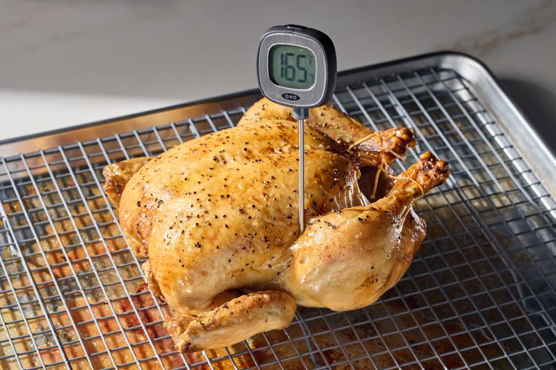 Meat Thermometer
