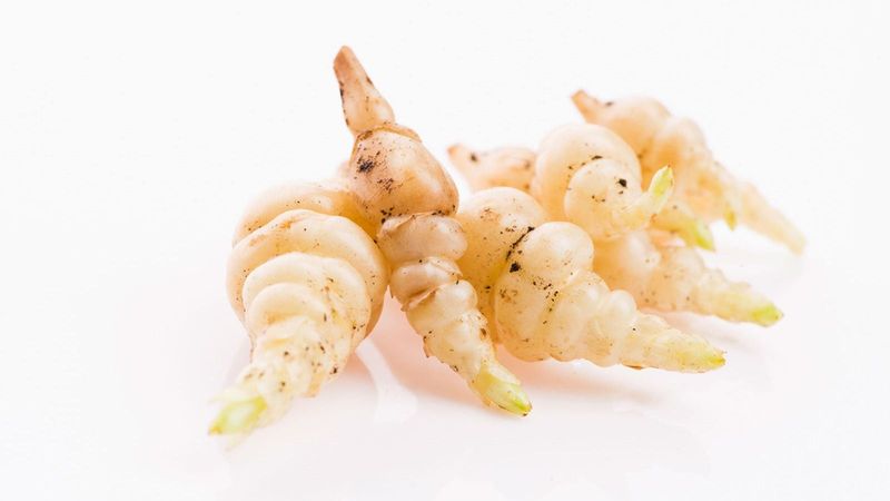 Crosnes
