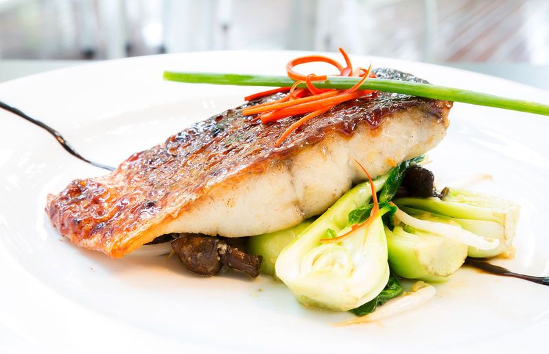 Barramundi