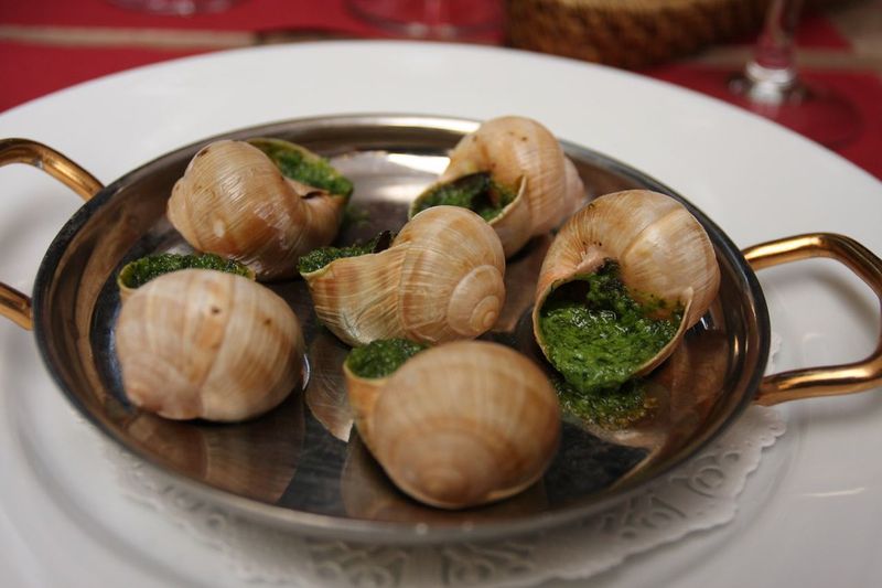 Snails