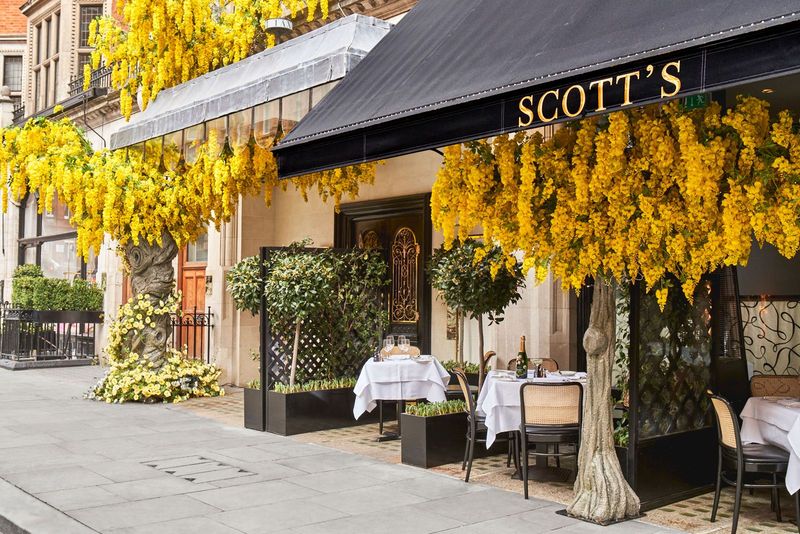Scott's (London)