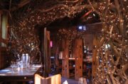 Step Inside Britain’s Most Enchanting Treehouse Restaurant