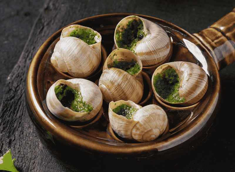 Snails