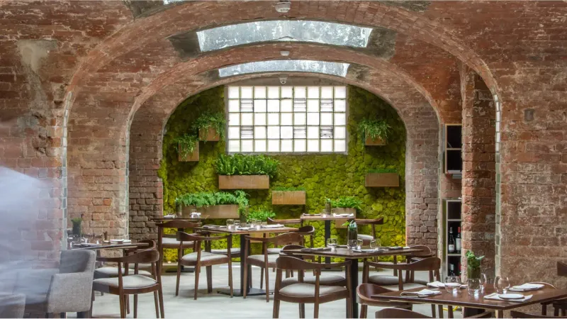 Alchemilla (XIX The Ropewalk, Nottingham, United Kingdom)