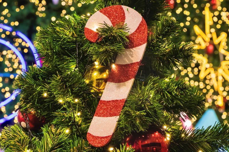From Choirs To Christmas Trees – The Candy Cane's Early Days