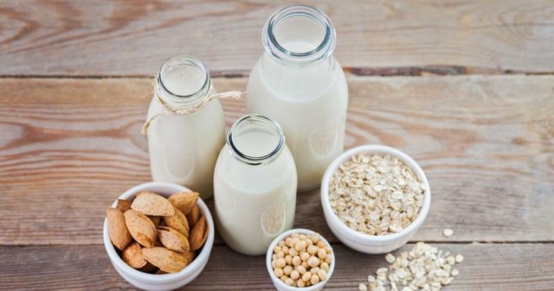 Fortified Plant-Based Milk