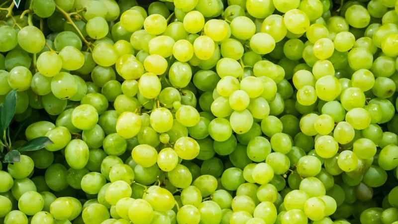Sour Grapes