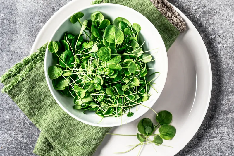 A Natural Antioxidant Boost In Every Bite