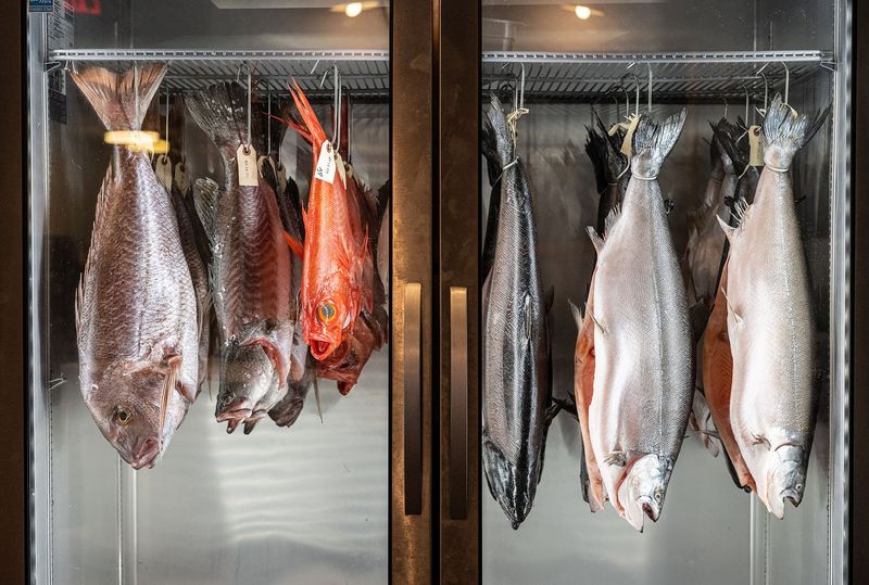 Fish On Slow Weekdays