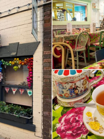 Why Shakespaw Cat Café Might Be The Most Relaxing Place In Stratford-Upon-Avon