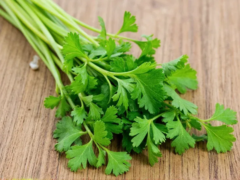 Parsley