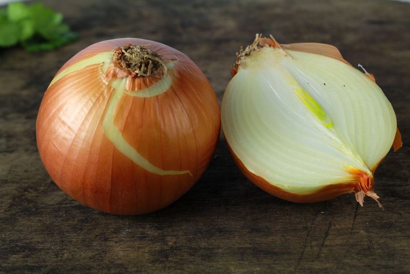 Onion
