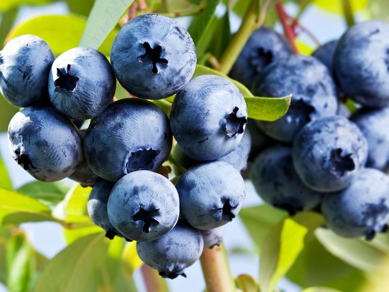 Fruits And Veggies Britons Should Be Eating More Of 