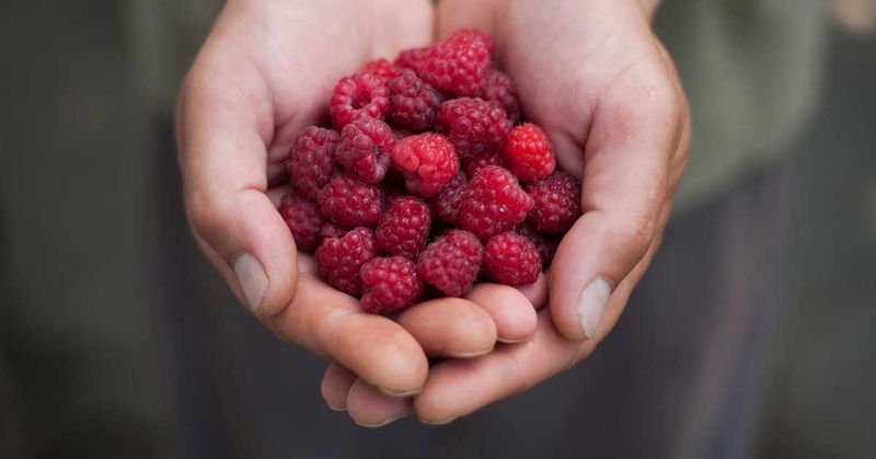 Natural Fibre Intake