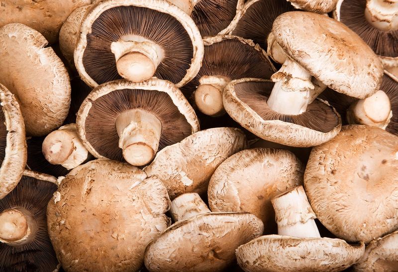 Mushrooms For Beef