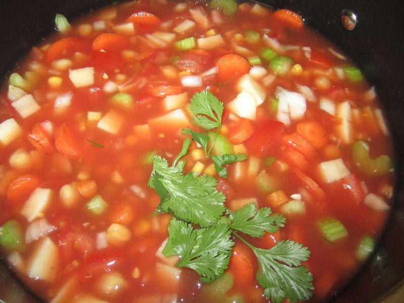 Simple Vegetable Soup With Minimal Herbs