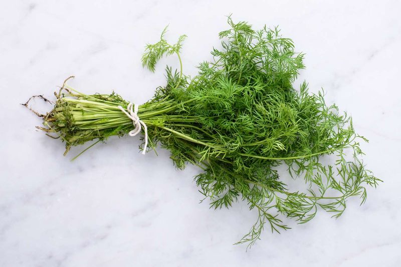 Dill