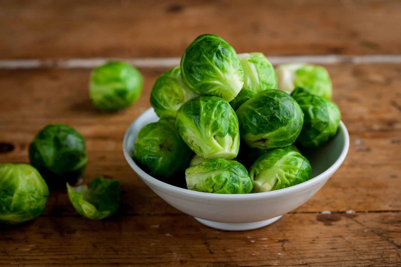 Sprouts Outside Of Christmas
