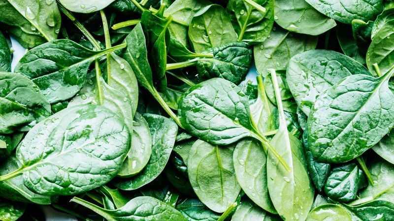 Natural Antioxidant Intake
