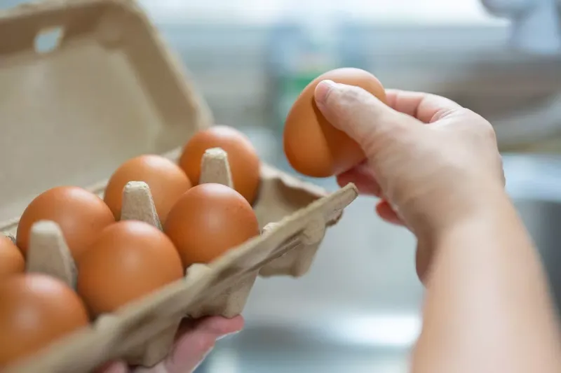 Eggs