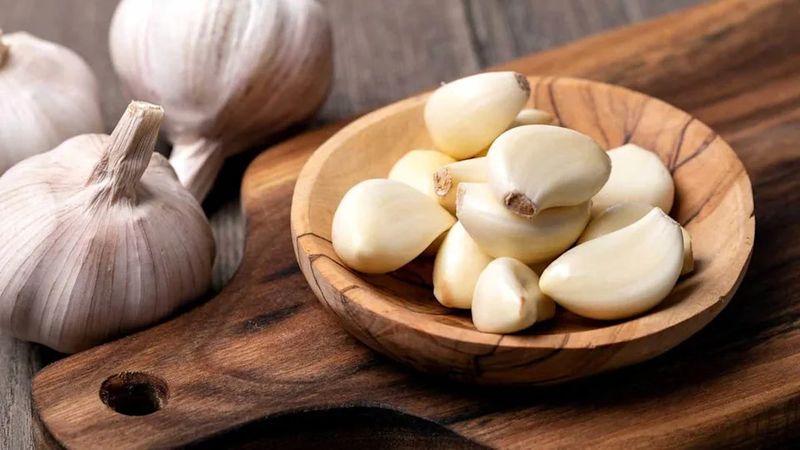 Garlic-Rich Foods