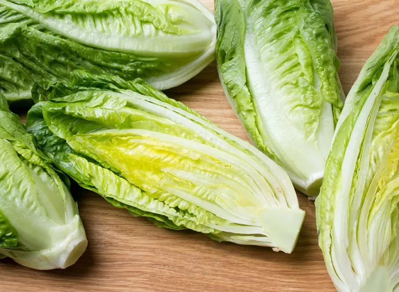 Lettuce