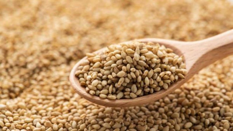 Sesame Seeds