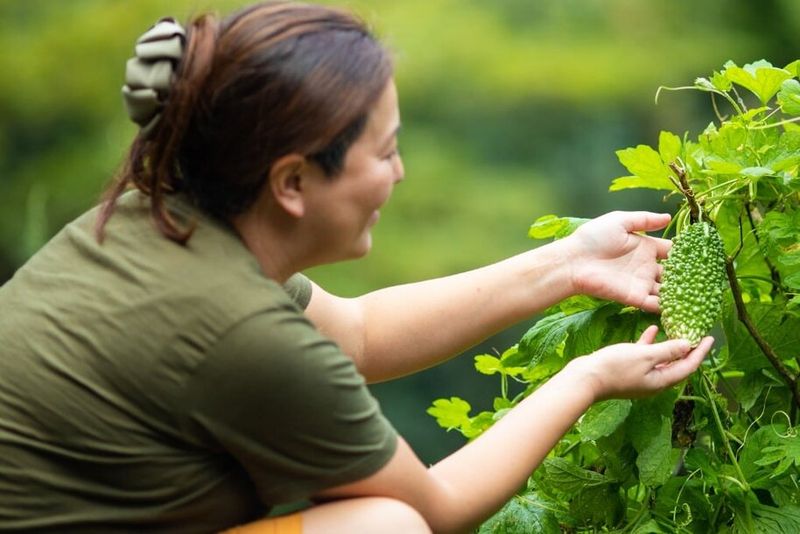 Lifestyle Factors Beyond Diet