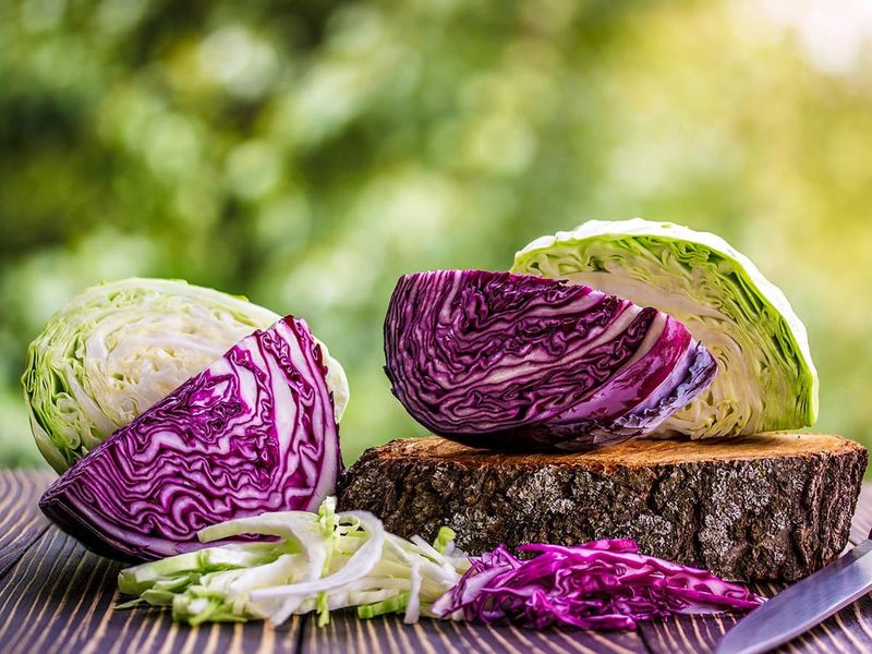Cabbage