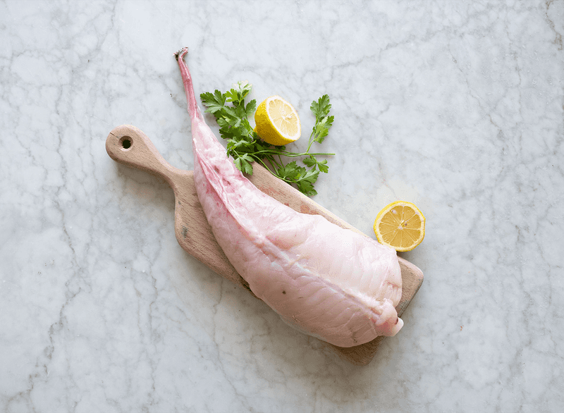 Monkfish