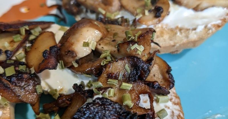 Sauteed Mushrooms And Swiss Cheese