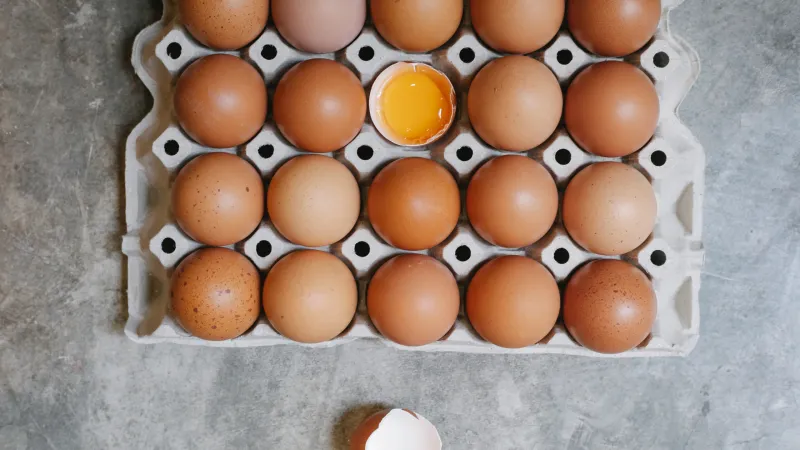 Eggs