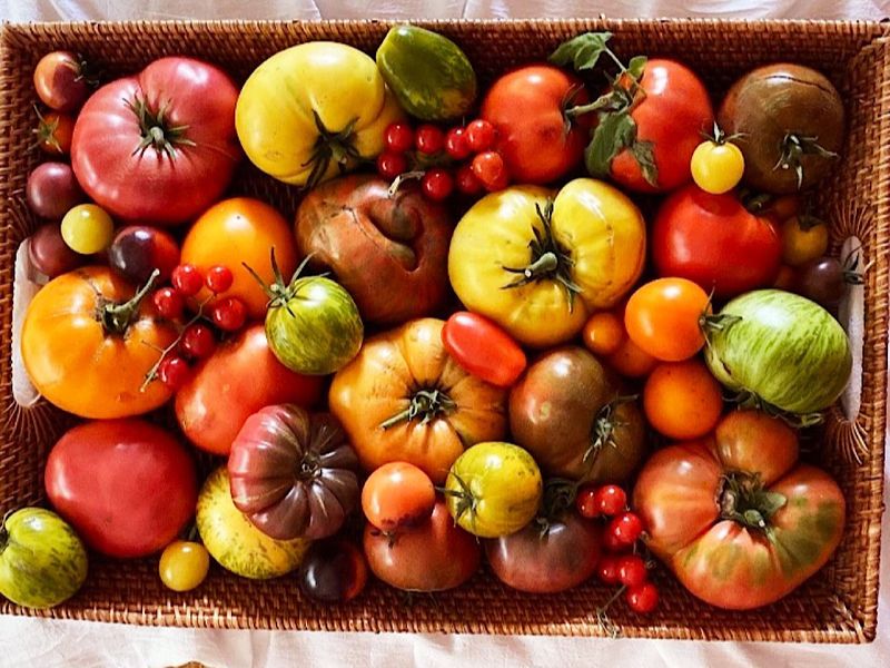 Tomatoes