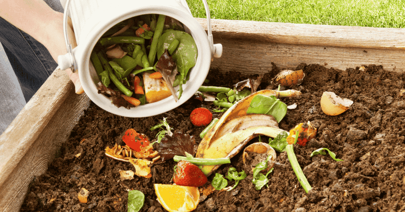 Best Compost And Drainage Mix For Container Courgettes