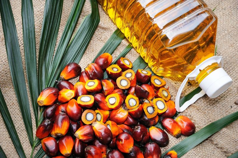 Palm Oil Products