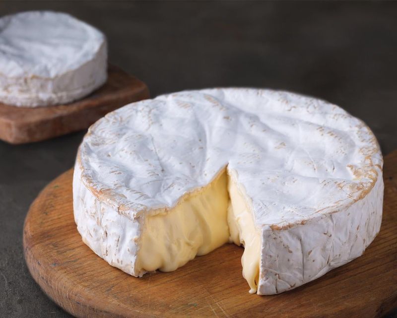 British Brie-Style Cheese