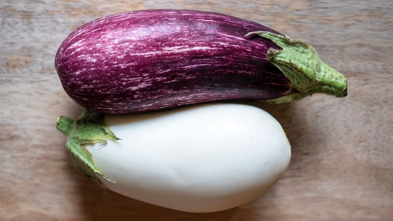 Aubergine