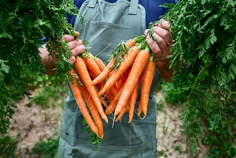Heart Health May Benefit From Antioxidants