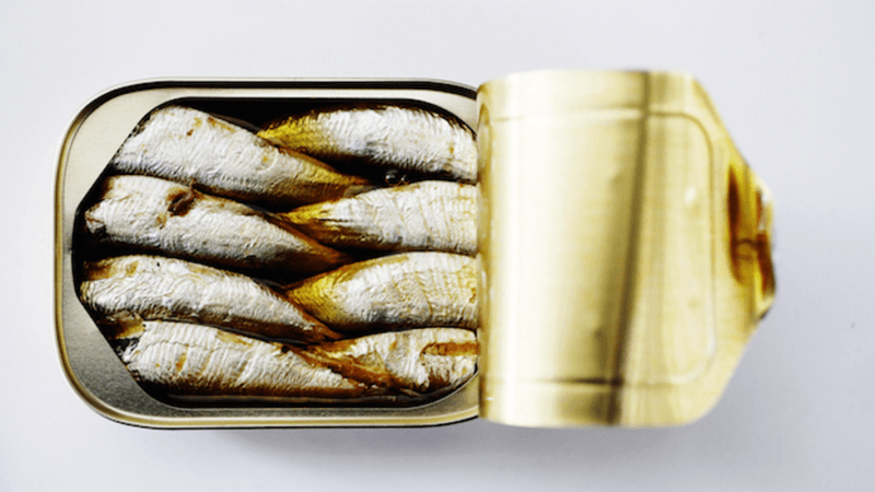 Sardines