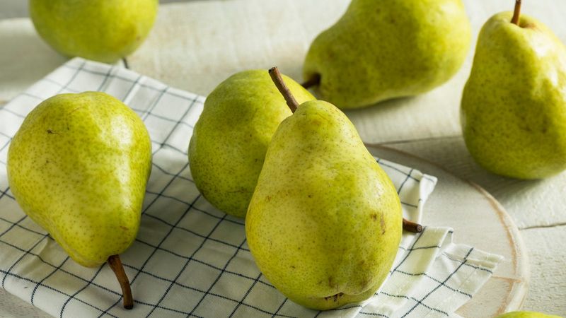 Easy To Carry And No-Fuss To Eat