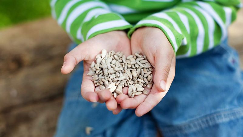 Supports Overall Nutrient Balance In Small Portions