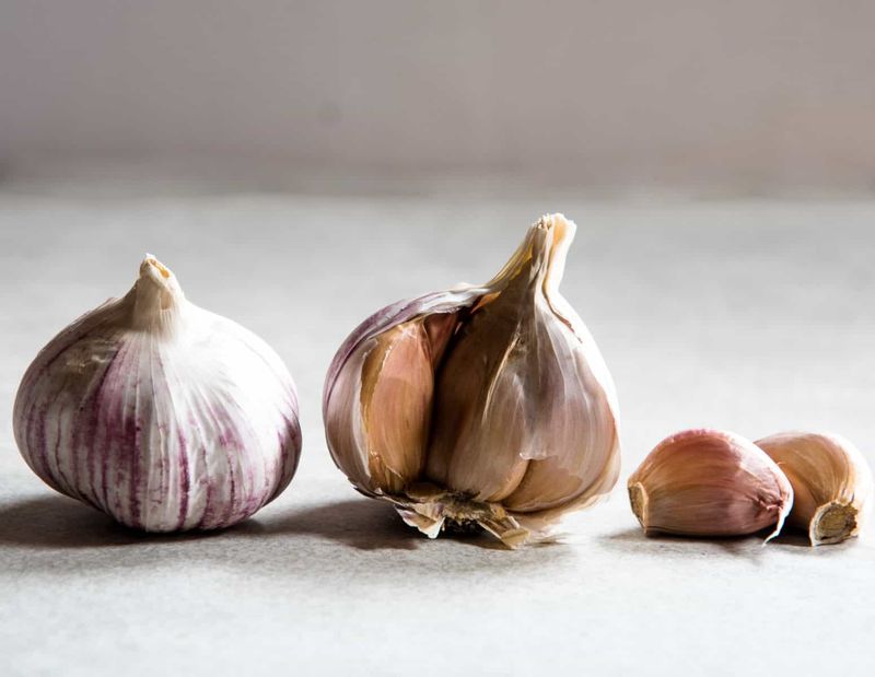 Garlic