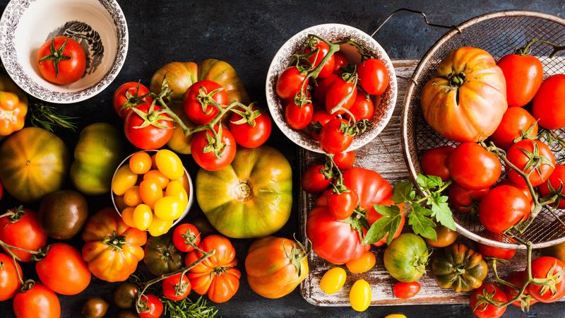 Tomato