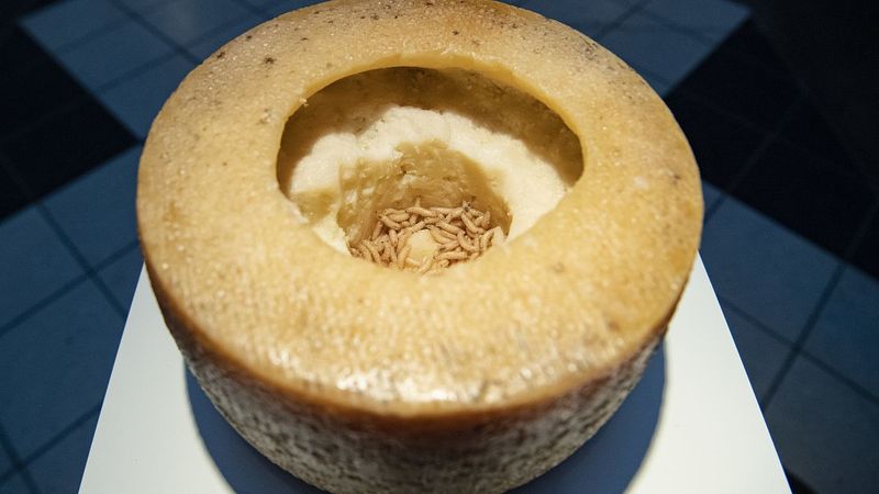 Casu Marzu - Sardinia, Italy