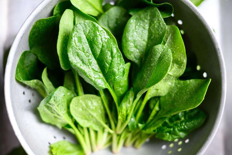 Iron And Folate Intake