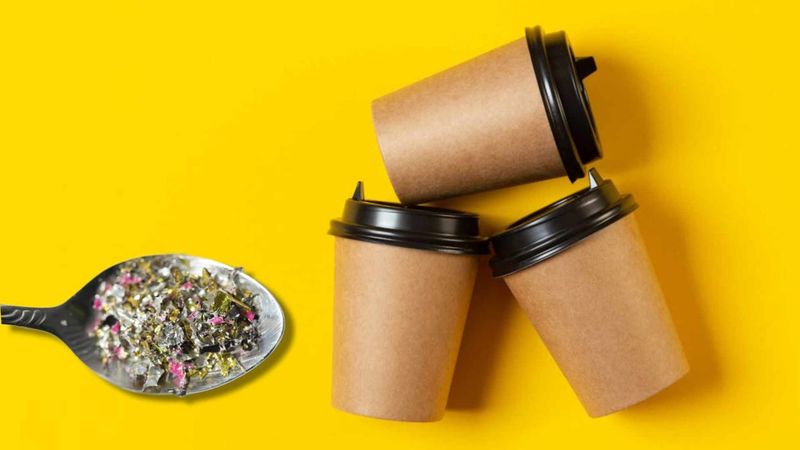 What Research Reveals About Plastic Coffee Cups And Heat Exposure