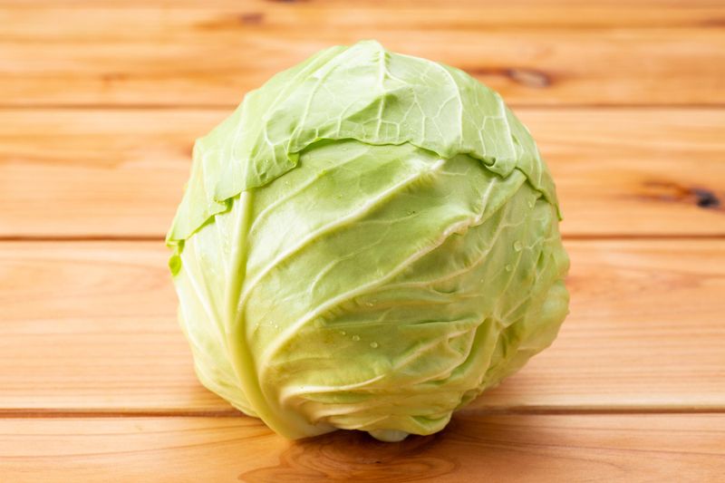 What Makes Cabbage A Versatile Ingredient Across Cuisines
