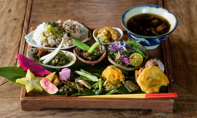 Role Of Vegetables And Plant Foods